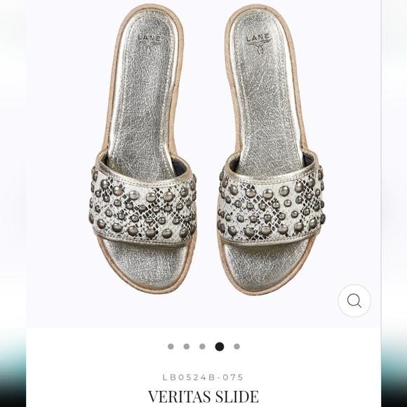 LANE SLIDES - Picture 5 of 8